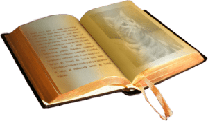 Livre d'or